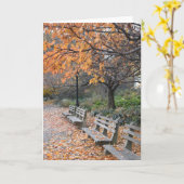 秋にニューヨーク紅葉リバーサイドパークNYC カード (黄色い花)