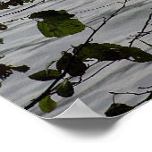 秋にブリード湖 ポスター (角)