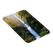 秋にマルチノマ滝でOR マグネット (右側)