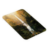 秋にマルチノマ滝でOR マグネット (右側)