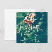 秋に咲くユリ (正面/裏面)