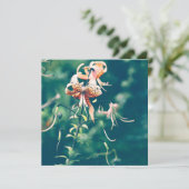 秋に咲くユリ (スタンド正面)