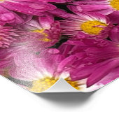 秋に咲く菊 フォトプリント            (角)