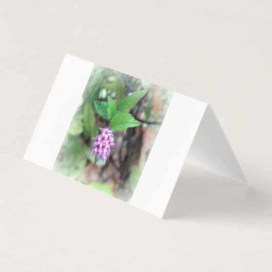 秋に咲く (正面)