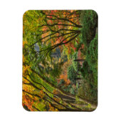 秋に日本のオレゴン州ポートランドで庭園4 マグネット (縦)