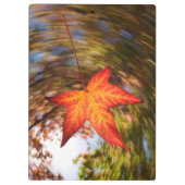 秋に木から落ちる葉 クリップボード (裏面)