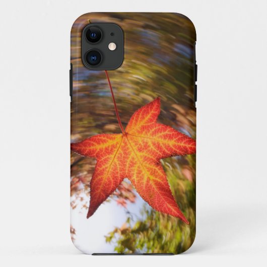 秋に木から落ちる葉 Case-Mate iPhoneケース (裏面)