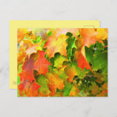 秋に色葉変えるサトウカエデ ポストカード (正面/裏面)