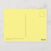 秋に色葉変えるサトウカエデ ポストカード (裏面)