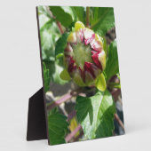 秋に芽を出す フォトプラーク (側面)