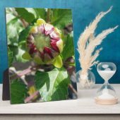 秋に芽を出す フォトプラーク (側面)