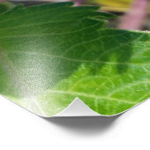 秋に芽を出す フォトプリント            (角)