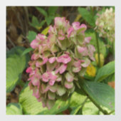 秋のあじさい開花ウィズゴールデンホスタ葉ズ ウィンドウサイン (シート)