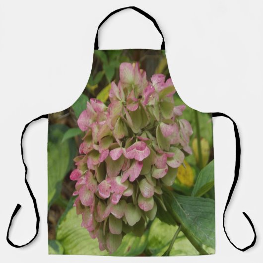 秋のあじさい開花ウィズゴールデンホスタ葉ズ エプロン (正面)