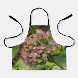 秋のあじさい開花ウィズゴールデンホスタ葉ズ エプロン