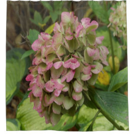 秋のあじさい開花ウィズゴールデンホスタ葉ズ シャワーカーテン