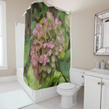 秋のあじさい開花ウィズゴールデンホスタ葉ズ