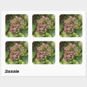 秋のあじさい開花ウィズゴールデンホスタ葉ズ スクエアシール (シート)