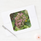 秋のあじさい開花ウィズゴールデンホスタ葉ズ スクエアシール (封筒)