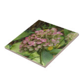 秋のあじさい開花ウィズゴールデンホスタ葉ズ タイル (側面)