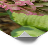 秋のあじさい開花ウィズゴールデンホスタ葉ズ ポスター (角)