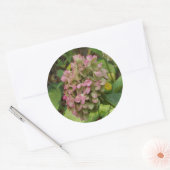 秋のあじさい開花ウィズゴールデンホスタ葉ズ ラウンドシール (封筒)