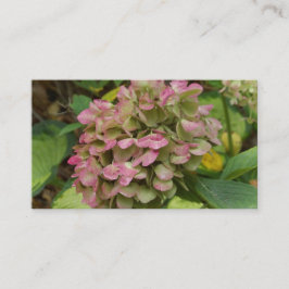 秋のあじさい開花ウィズゴールデンホスタ葉ズ 名刺