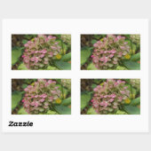 秋のあじさい開花ウィズゴールデンホスタ葉ズ 長方形シール (シート)