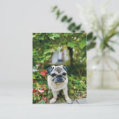 秋のかわいい絵葉書 ポストカード (スタンド正面)