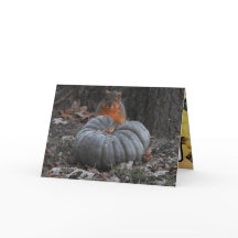 秋のご挨拶 | かわいいリスがカボチャを食べている