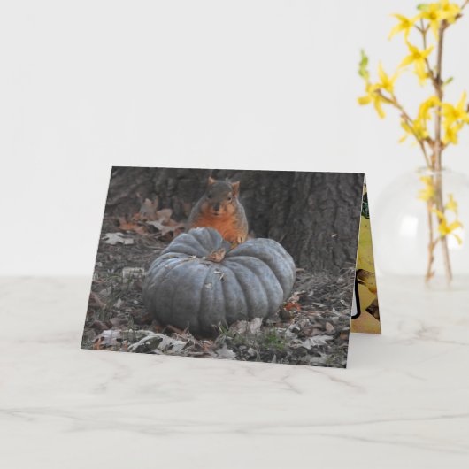 秋のご挨拶 | かわいいリスがカボチャを食べる カード
