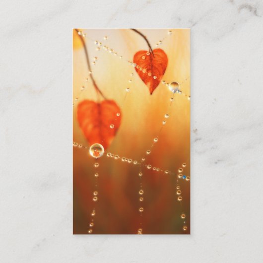 秋のしおりの宝石 名刺 (裏面)