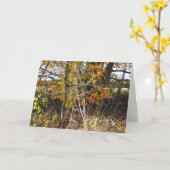 秋のつる植物コンブ&ベリー「あぁ」カード カード (黄色い花)