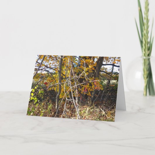 秋のつる植物コンブ&ベリー「あぁ」カード カード (正面)