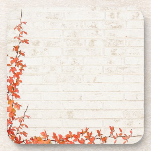 秋のつる植物 コースター (正面)