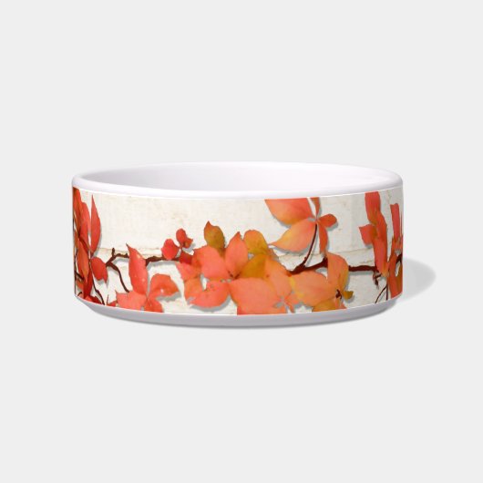 秋のつる植物 ボウル (左)