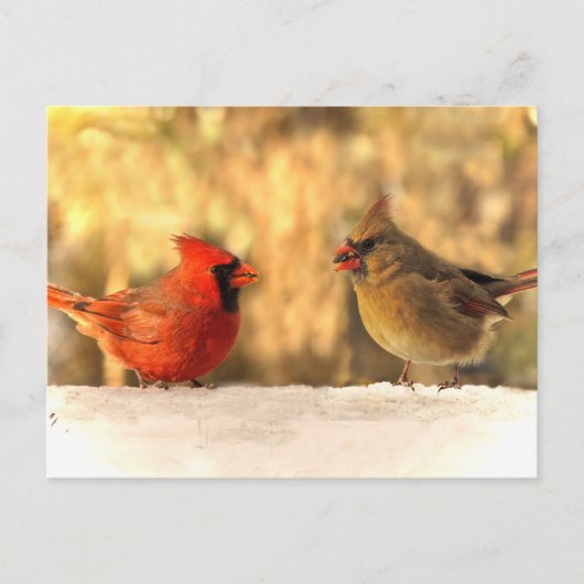 秋のはがきに深紅色 ポストカード (正面)