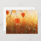 秋のはがきの逸品 ポストカード (正面/裏面)