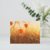 秋のはがきの逸品 ポストカード (スタンド正面)