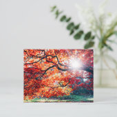 秋のはがきの魔法の色で ポストカード (スタンド正面)