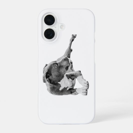 秋のひととき iPhone 16ケース (裏面)
