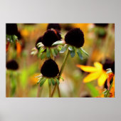 秋のアクセス ポスター (正面)