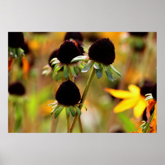 秋のアクセス ポスター