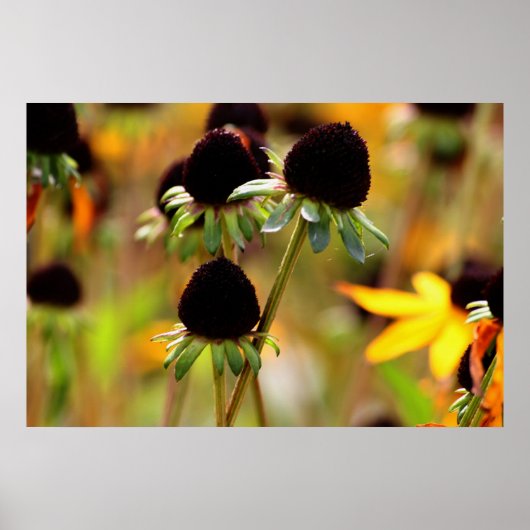 秋のアクセス ポスター (正面)