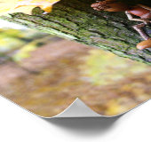 秋のアコーン小妖精や小人カエデの木に座って ポスター (角)