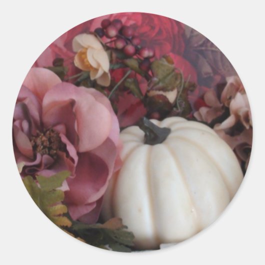 秋のアザラシ ラウンドシール (正面)