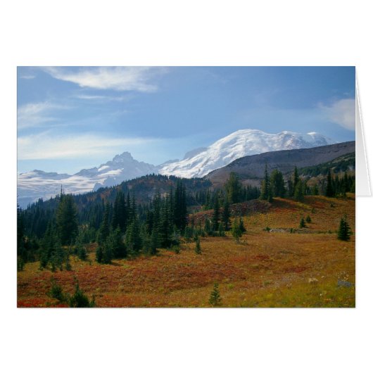 秋のアット山レイニア葉書 (正面横)