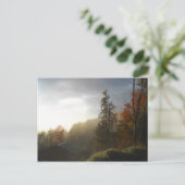 秋のアディロンダックスの木々の風景 ポストカード (スタンド正面)