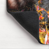 秋のアライグマ マウスパッド (コーナー)