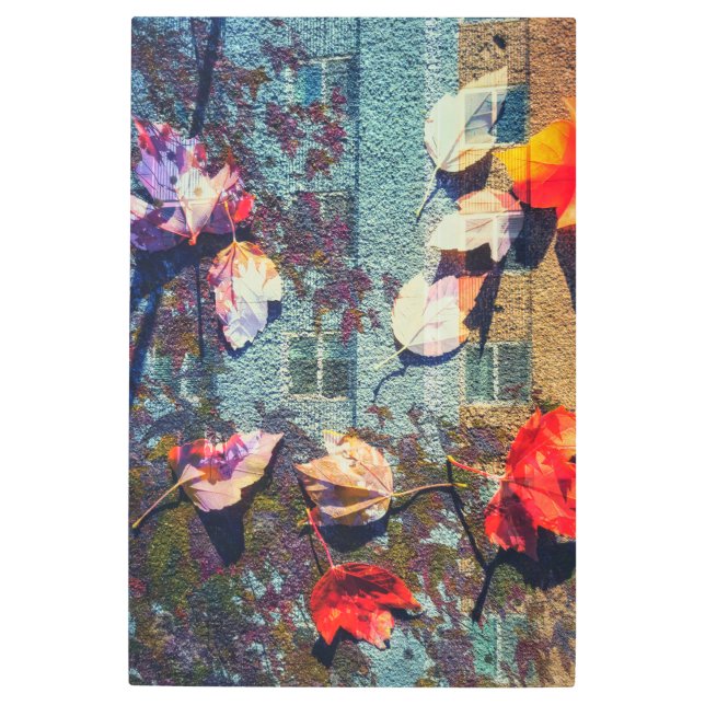 秋のアーバン抽象芸術 メタルプリント (正面)